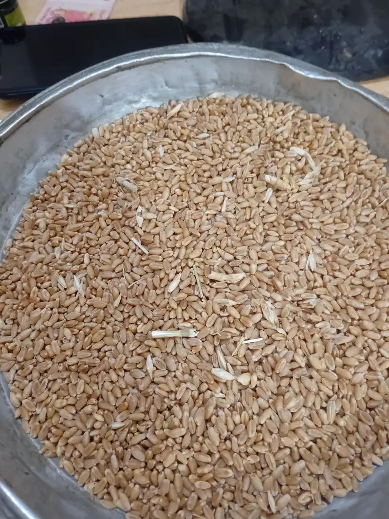 gandun + kala chana gul zealpak society — photo 2