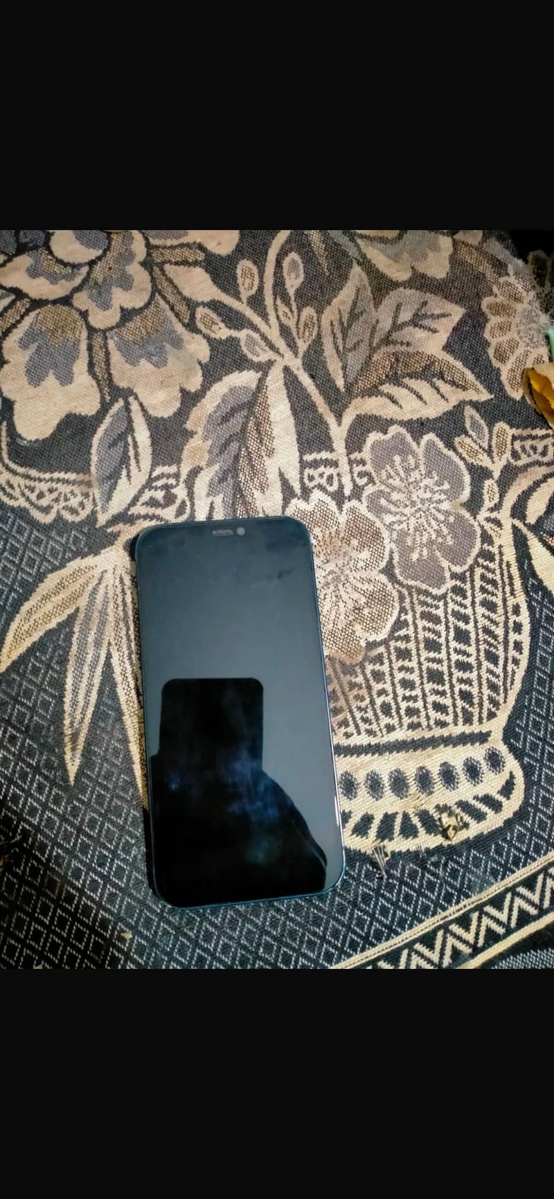 Apple iPhone 12 0