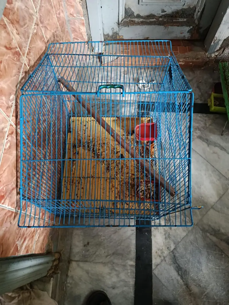 parrot cage new condition