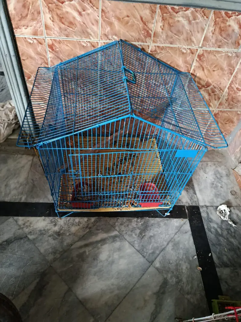 parrot cage new condition — photo 3