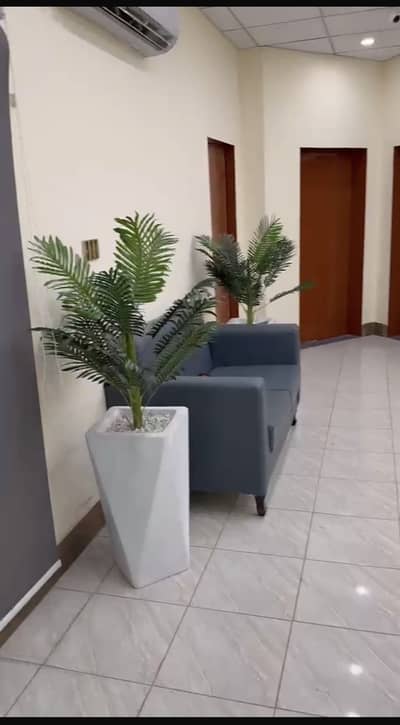 Furnished Office for 10 employees available near Shalimar metro stn