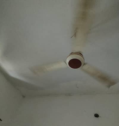 AC/DC fan (super Asia)