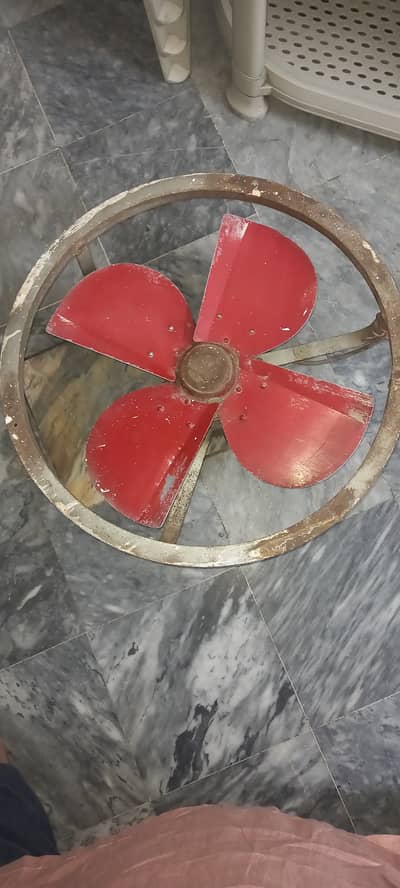 SHEZA Fan   2FT