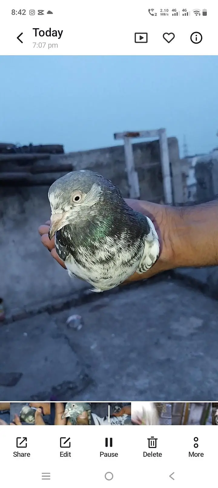 mayra pass ya jora bohat acha ha teady — photo 5