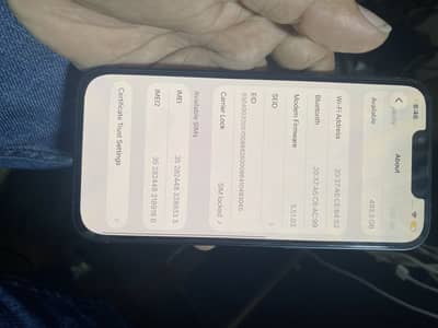 Apple iPhone 13