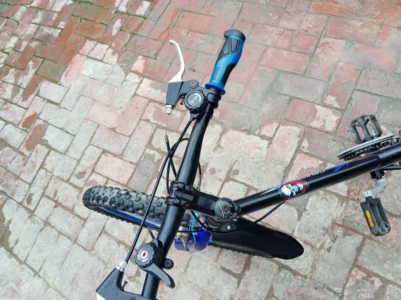 bycycle 3