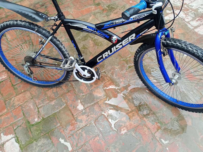 bycycle 5