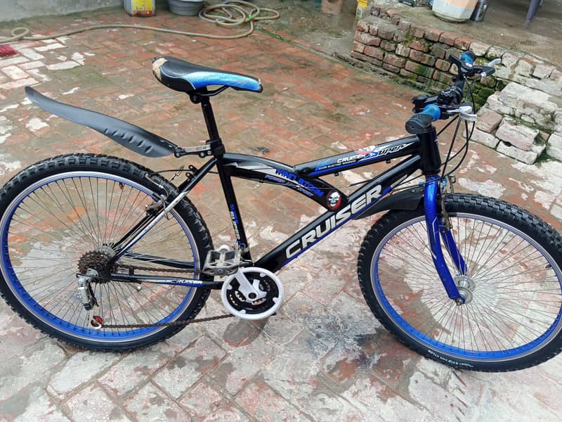 bycycle 7