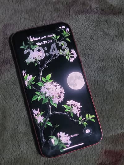 Apple iPhone 12