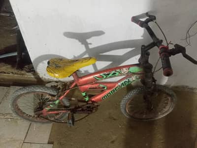 cycle