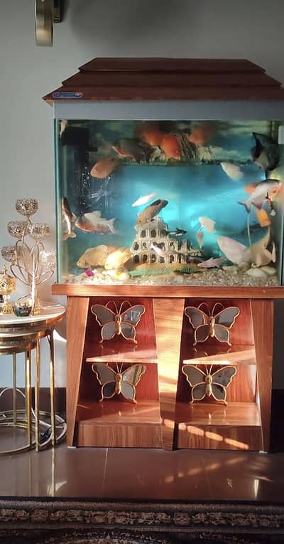 Aquarium for sale