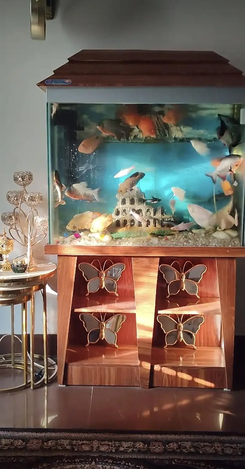 Aquarium for sale