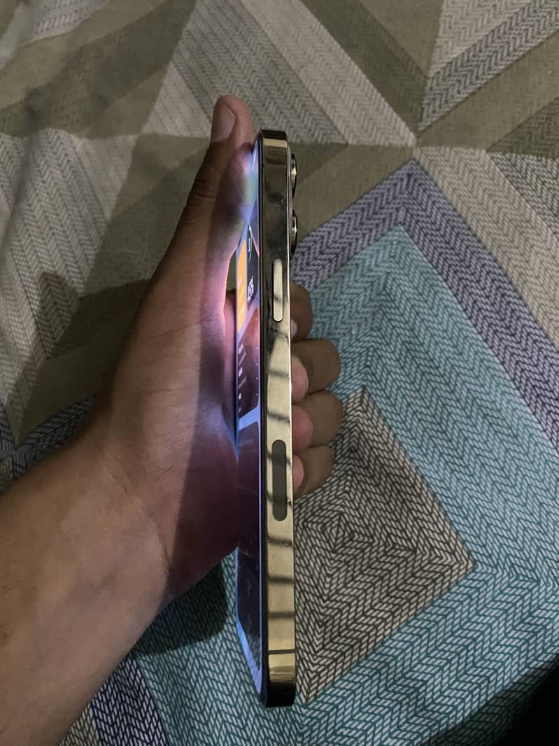 Apple iPhone 13 Pro Max 1
