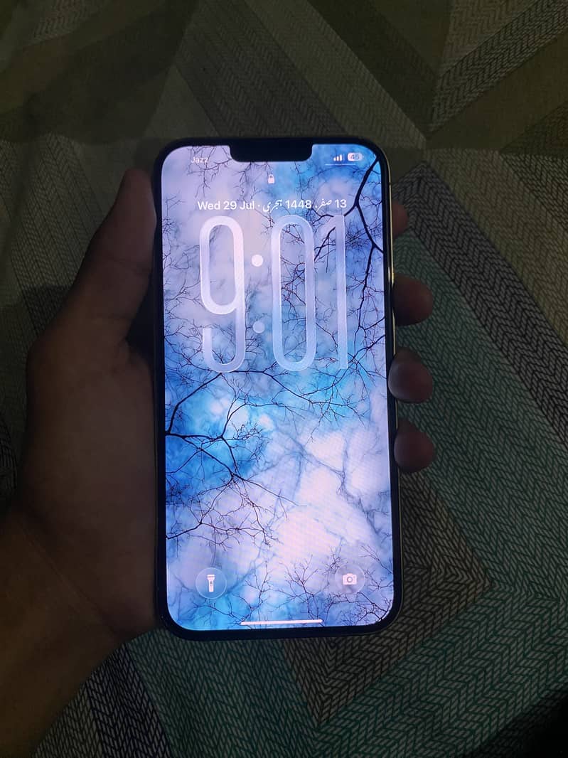 Apple iPhone 13 Pro Max 2