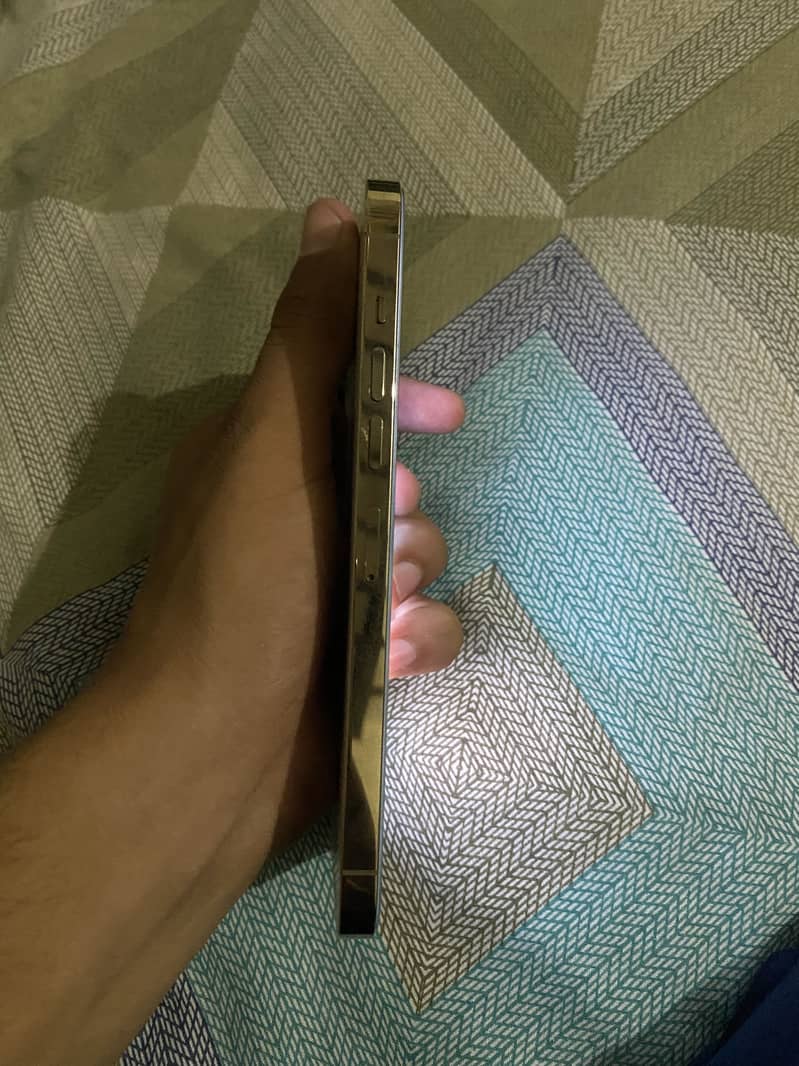 Apple iPhone 13 Pro Max 3