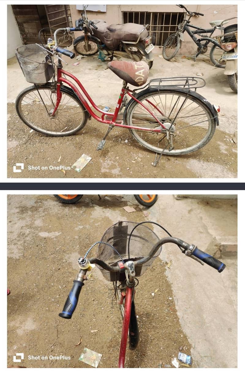 Cycle 1