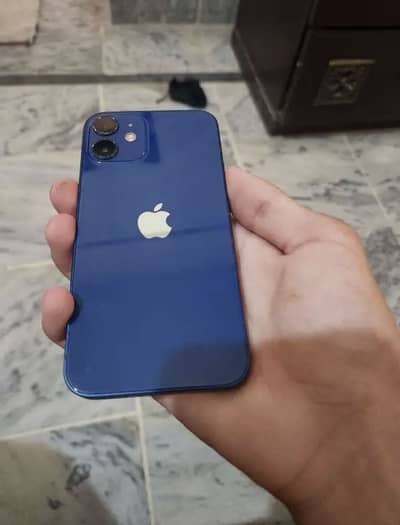 Apple iPhone 12