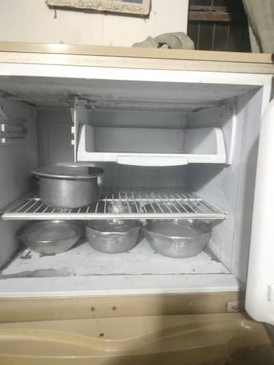 Pel Refrigerator 2 Doors,