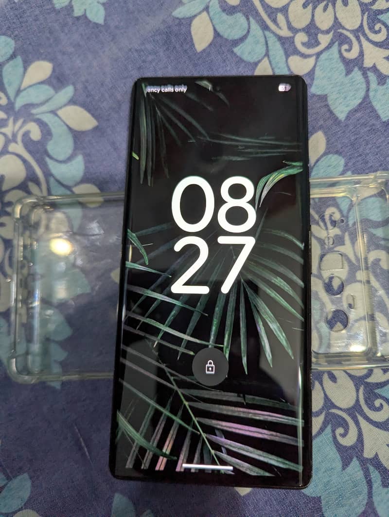 Google Pixel 6 Pro 2