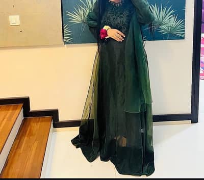 Maxi Gown Emerald Luxe Threadworked Organza