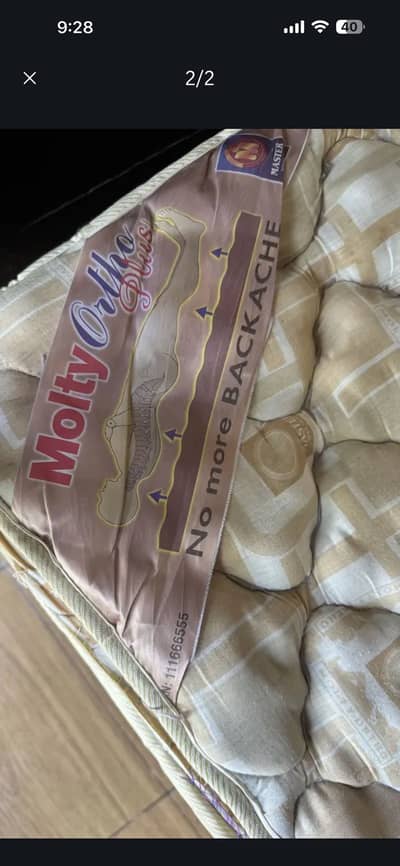Molty Ortho plus foam