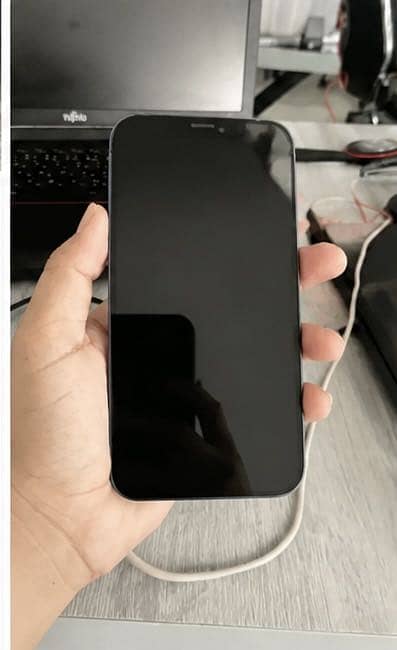 Apple iPhone 12 mini 1