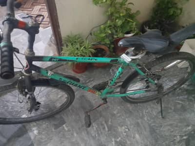 hit giant used cycle fresh condition