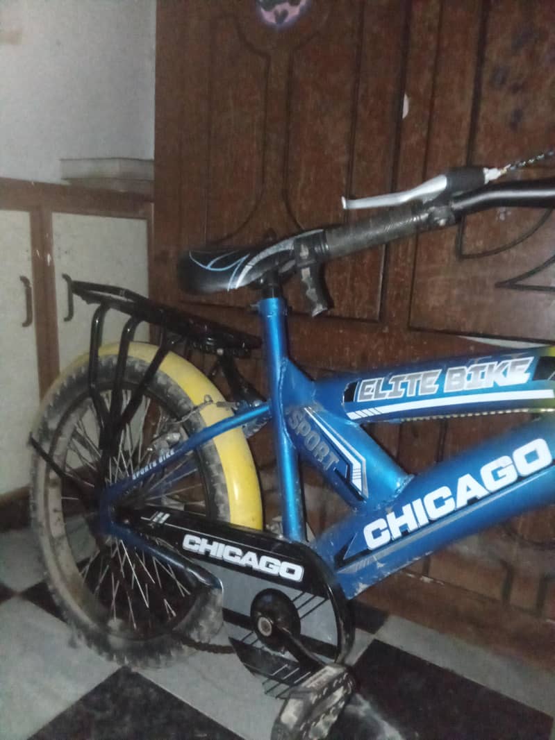 cycle 1