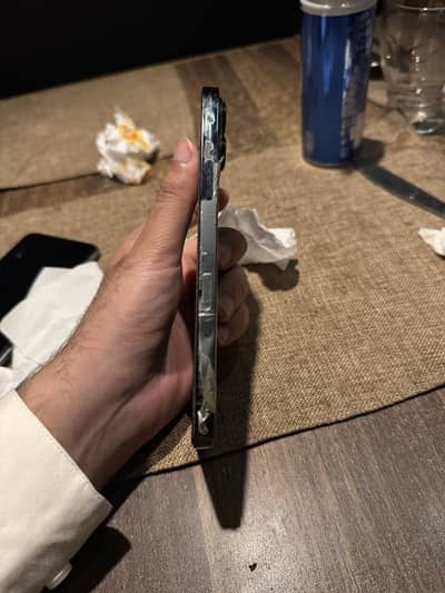 Apple iPhone 13 Pro Max jv