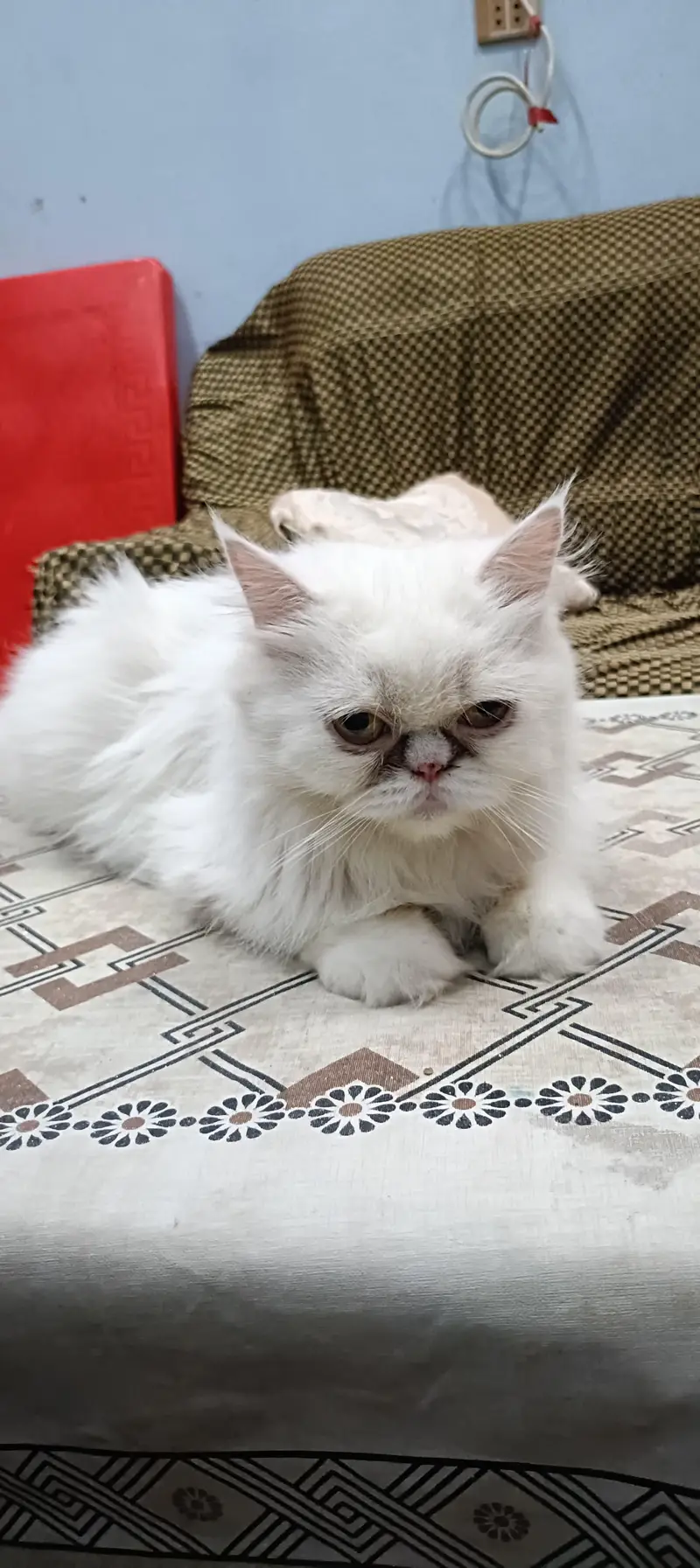 Name sonooi — photo 3