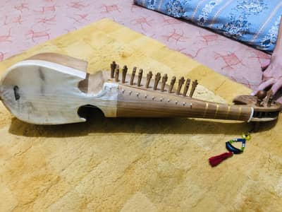 Professional Rabab