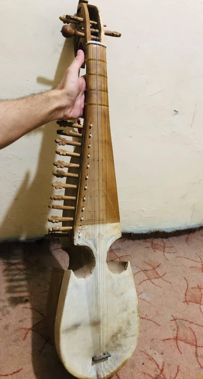 Professional Rabab 1