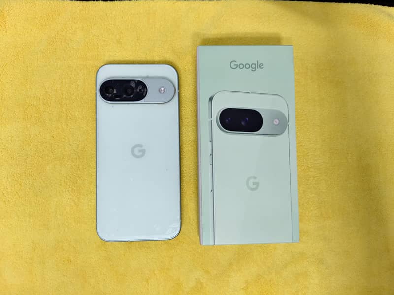 Google Pixel 9 1