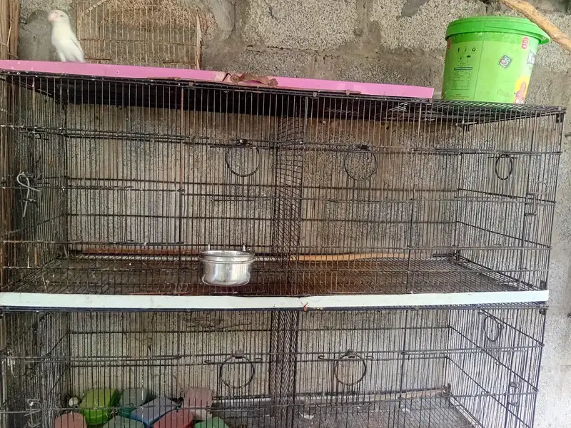 cages for sail — photo 2