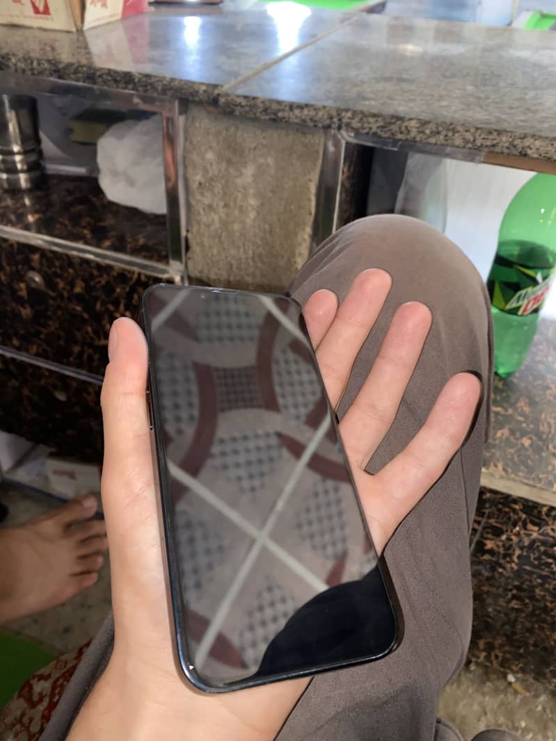Apple iPhone 13 0