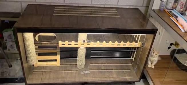 Enclosure for kitten - Catio - Cat house