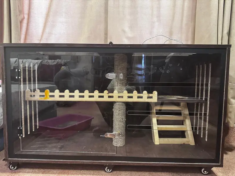 Enclosure for kitten - Catio - Cat house — photo 3