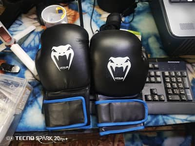 Everlast Punching Bag + Venum Gloves Set For Sale!