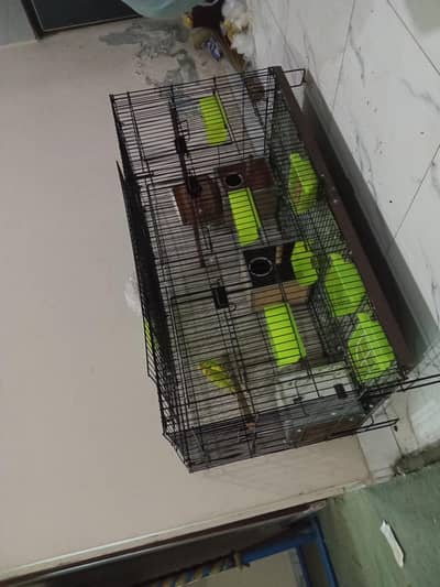 toton ka pinjra 3 khano wala