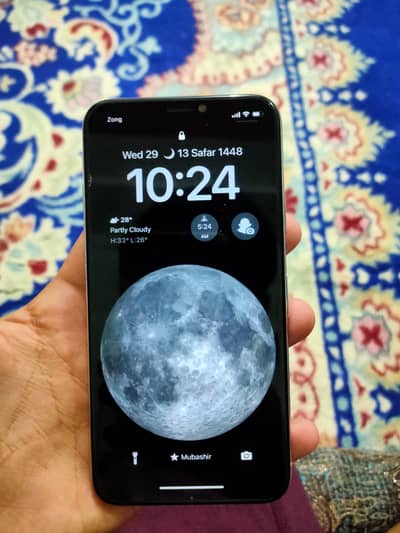 Apple iPhone X