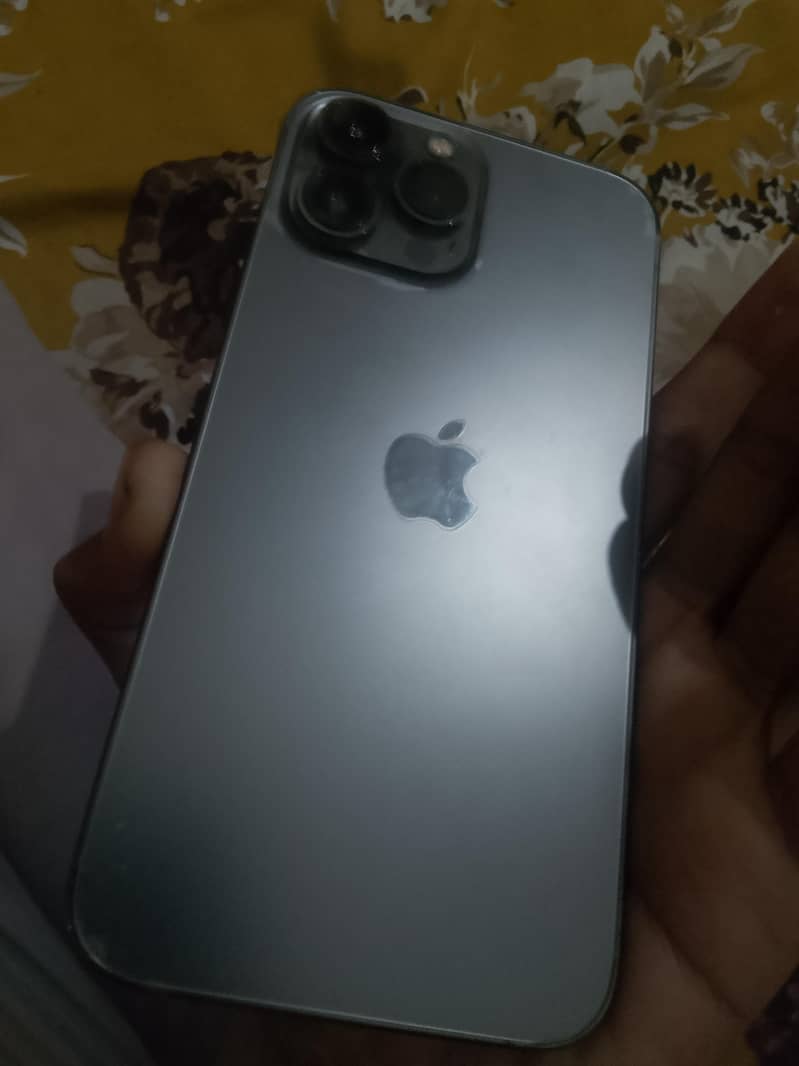 Apple iPhone 13 Pro Max 2