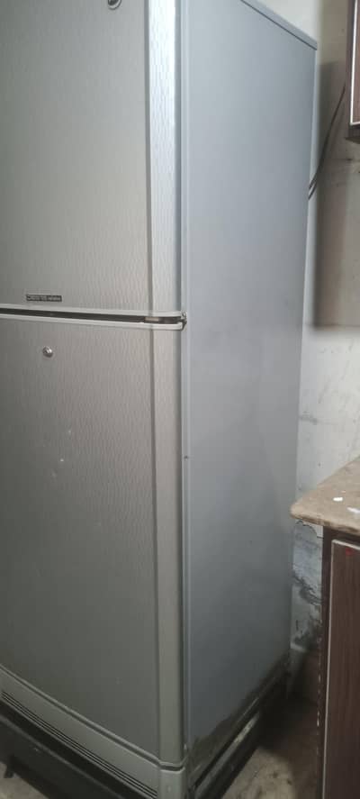 pel medium size