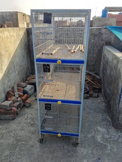 cage likely new
