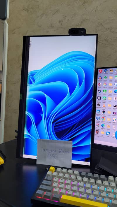 165Hz 24Inches IPS Display with Black border