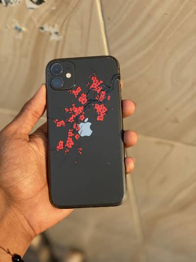 Apple iPhone 11 water pack