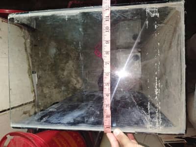 Aquarium - Fish Tank