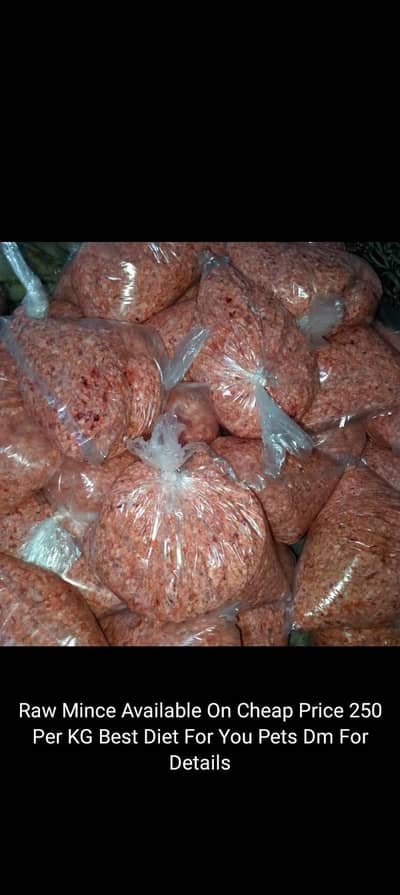 Dog Food