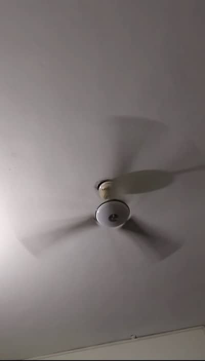 Ceiling fan