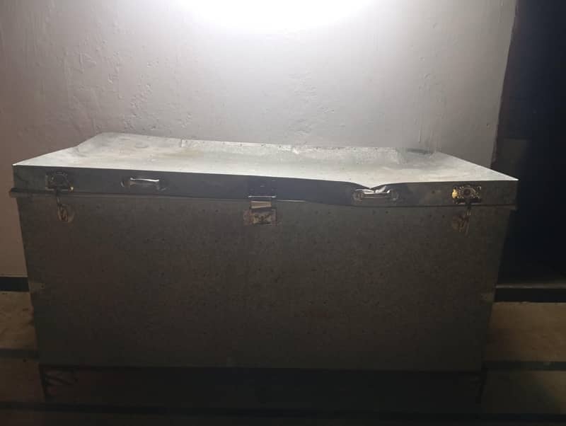 storage trunk 1