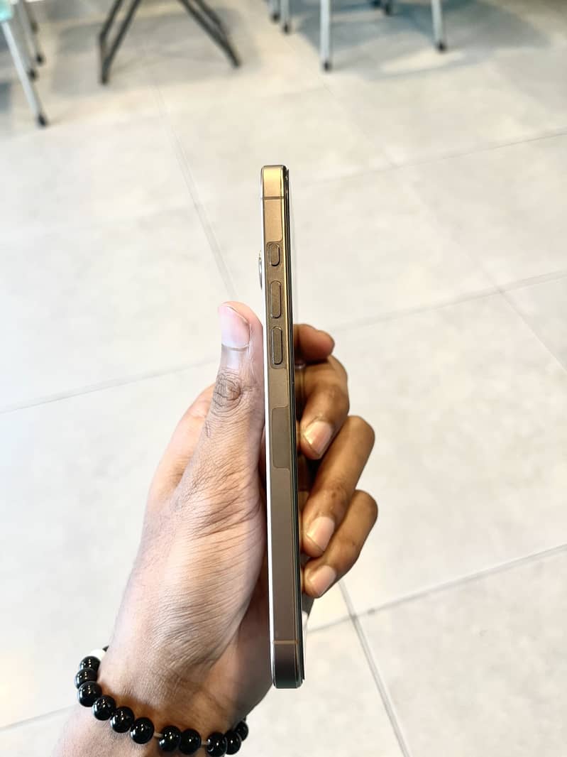 iPhone 16 Pro Max 1